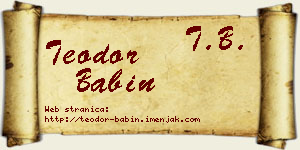 Teodor Babin vizit kartica